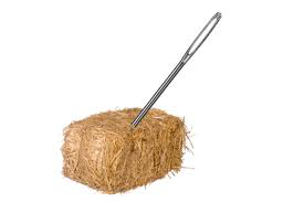 Needle haystack